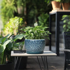 SQOWL 8 inch Plant Pot - Image 5