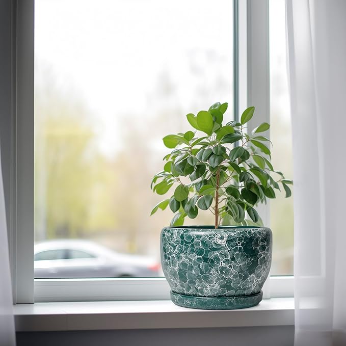 SQOWL 8 Inch Plant Pot - Image 4