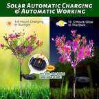 Neporal Garden Solar Lights Outdoor Waterproof IP65, 2PK Phalaenopsis Solar - Image 3