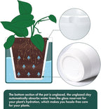 D'vine Dev 8 Inch Design Self Watering Planter - Image 6