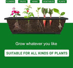 Outvita 4.4 FT Vertical Garden Bed, 5 Tier Vertical Raised Planter, Removable - Image 4