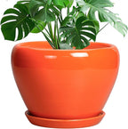 Ceramic Pot for Plants by Ceramicfor