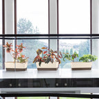 Window Box Planter with Tray - Image 6