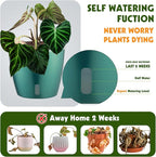 Self-Watering Pots for Indoor Plants, Small African Violet Pots - Image 3