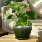 8 Inch Plant Pot - Image 2