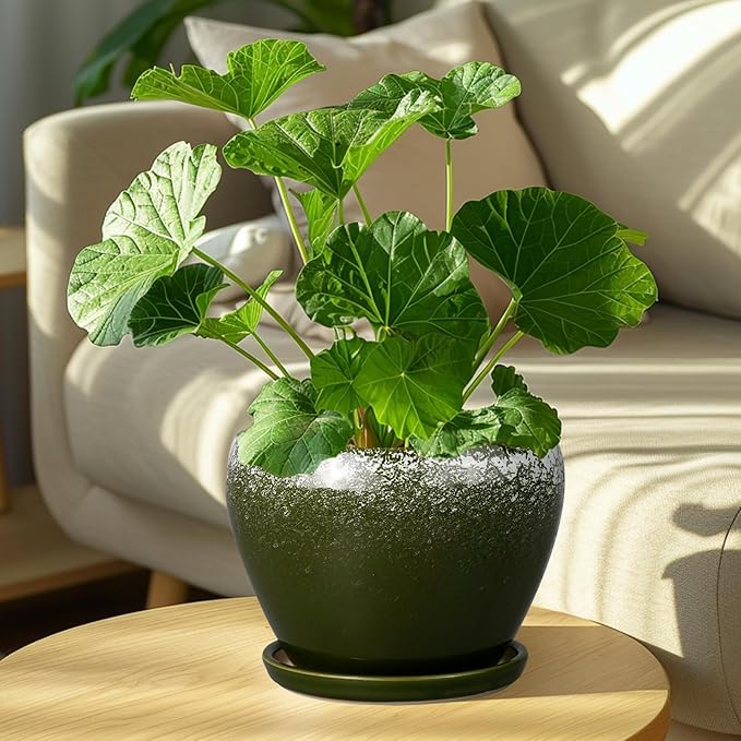 8 Inch Plant Pot - Image 2