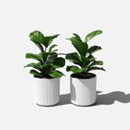 Veradek Demi Series Round Planter - Image 8