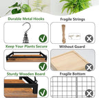 Plant Hanger Indoor - Image 4