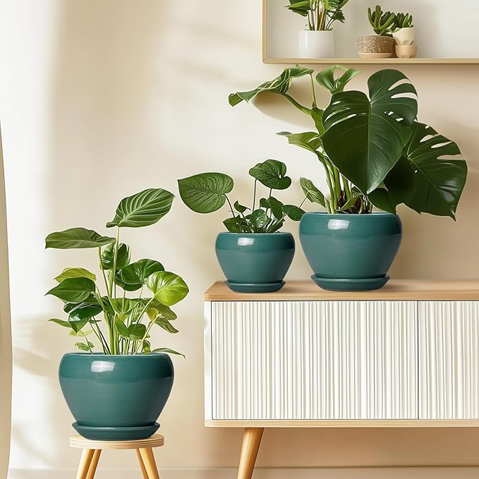 8 Inch Plant Pot - Image 8
