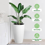 GarveeLife Set of 2 Tall Planters - Image 7