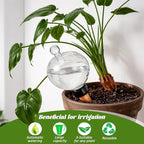 4 Pack 17.5 oz Plant Watering Globes - Image 5