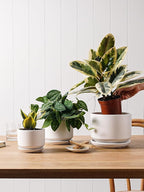 LE TAUCI Ceramic Plant Pots, 4.3+5.3+6.8 inch, Planters - Image 7