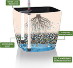Dexceder 13x12 Self Watering Planter - Image 2