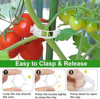250 Pcs Tomato Clips, Plant Support Clips and J Tomato Hooks, Plastic Trellis - Image 2