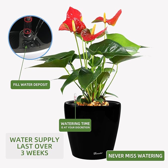 Dexceder 13x12 Self Watering Planter - Image 5