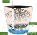 Dexceder 13x12 Self Watering Planter - Image 2