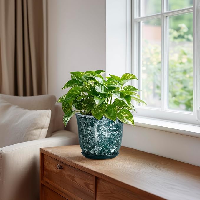 Ceramic Pots for Plants - Image 5