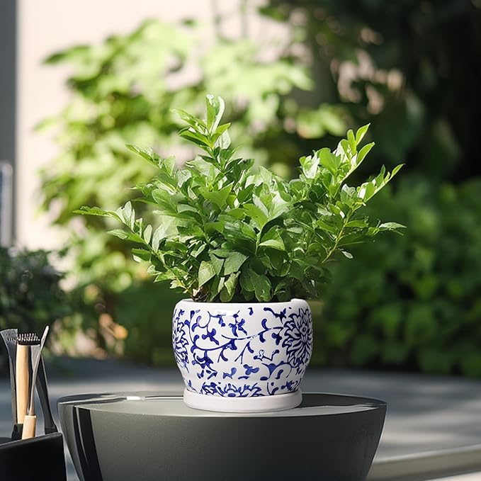 SQOWL 6 Inch Planter - Image 4