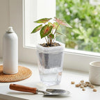 2.5 Inch Mini Self Watering Pots - Image 3