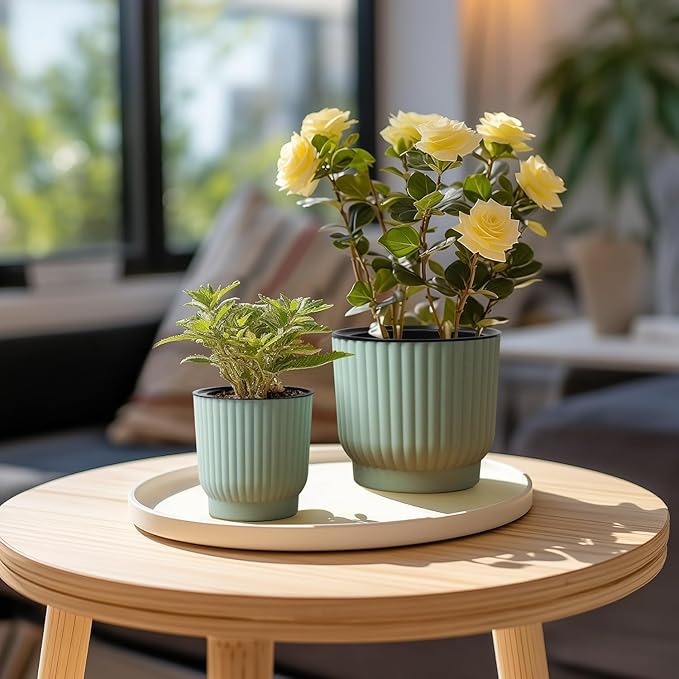 T4U 4 Inch Plant Pots Self Watering, 6 Pack African Violet Pots, Small Plant - Image 6