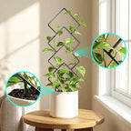 Indoor Trellis for Climbing Plants: 3PC Small Garden Metal Trellis for Vine Ivy - Image 5