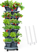 Strawberry Vertical Planters Tower Garden, 7 Tiered Stacking Herb Vegetable by Tectsia