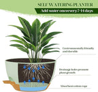 2 Pack 10 Inch Self Watering Hanging Planters - Image 6
