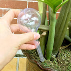 8 Pcs Clear Plant Watering Globes, Plastic Self Watering Bulbs Ball, Garden - Image 6