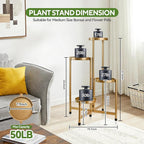 4 Tier 31 Inch Plant Stand Indoor Outdoor, Metal Plant Shelf Waterproof - Image 3