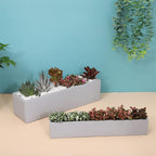14.5-Inch Grey Rectangle Concrete Succulent Planter Windowsill Boxes - Image 4