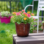 Ceramic Planter - Image 4
