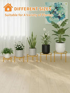 5 Pack Plant Stand Indoor Outdoor, Flower Pot Stand Plant Rack - Image 7