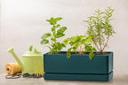 D'vine Dev 12 Inch Window Box Planter, Rectangle Plastic Herb Planter - Image 8