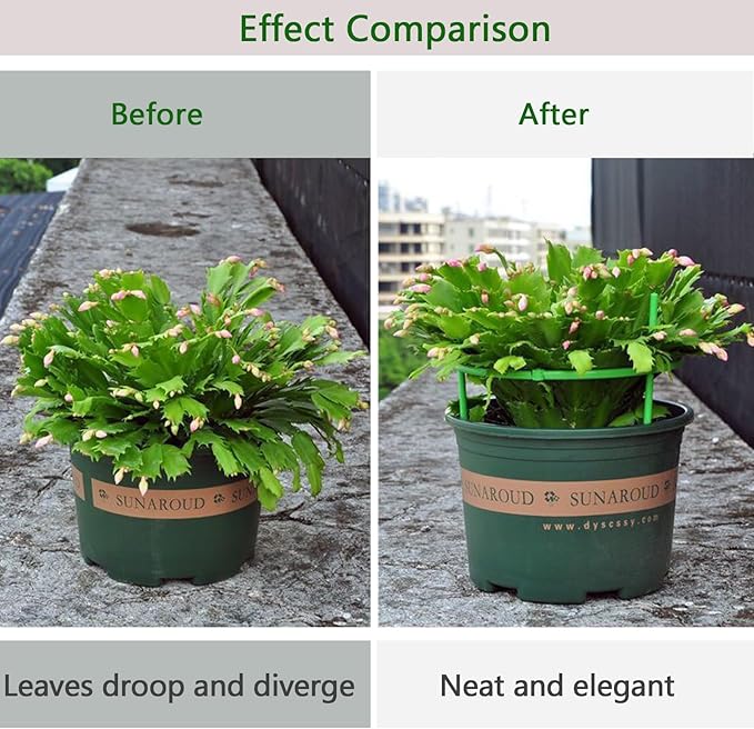 12 Packs Plant Support Stakes, Plant Support - Image 2