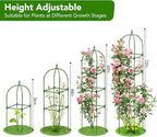 2 Pack Garden Obelisk Trellis for Climbing Plants, Tower Potted Cages Plant - Image 2