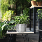 SQOWL Ceramic Pot for Plants - Image 5