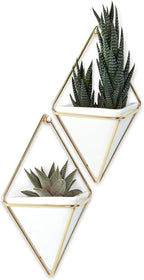 Umbra Trigg Hanging Planter Vase Wall Decor, Faux Plants, and More - Image 13