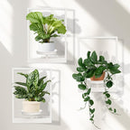 Hanging Planters for Indoor Plants White, Wall Plant Holder Stand to Hold Large by STORENIZATION