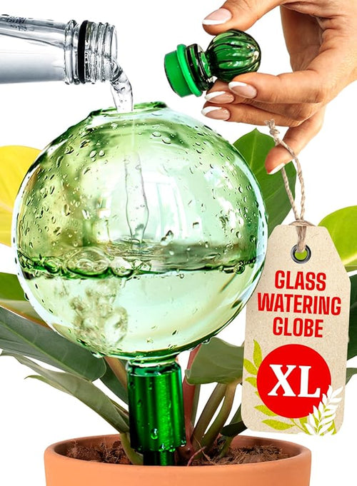 16 Oz Plant Watering Globes for Indoor Plants by GARDENBRO