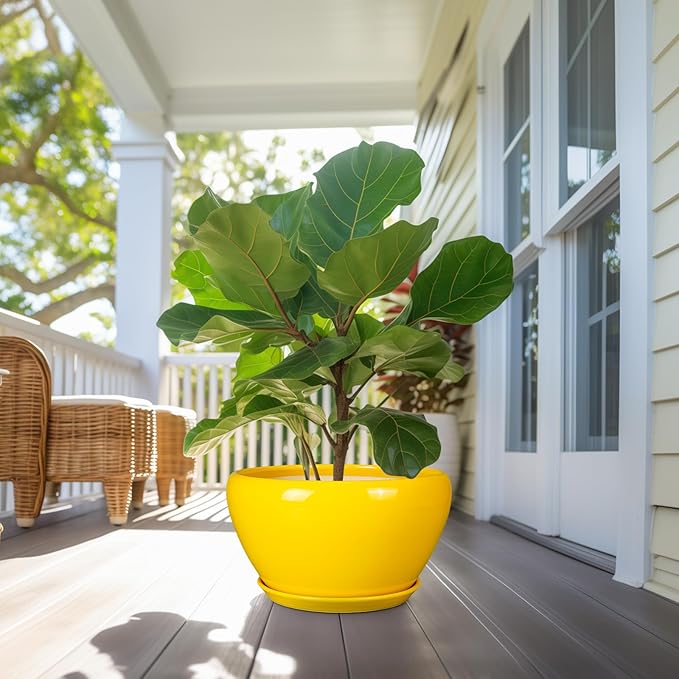 Ceramic Planter for Indoor Plants - Image 7