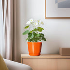 5.6 Inch Plant Pot - Image 6