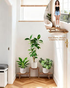 3 Tier Corner Plant Stand Indoor - Image 5