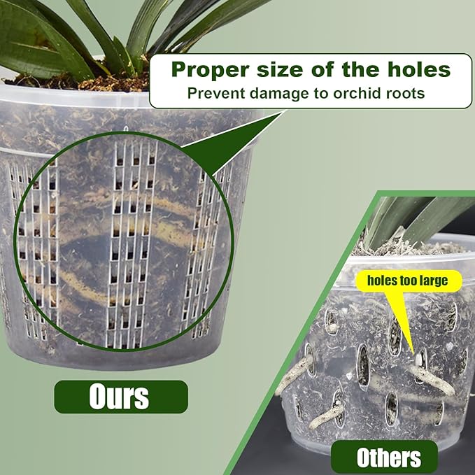 Orchid Pot, 3 Each of 4.3", 6.1" Orchid Pots - Image 3