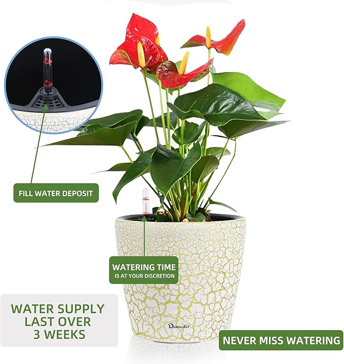 Dexceder 11x10 Inches Self Watering Planter Indoor Outdoor, Inner Pot Design - Image 5