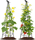 2 Pack Garden Trellis for Climbing Plants Outdoors, 70inch Tower Obelisk by Lazzmonk
