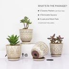 Gepege Succulent Pots, 4 Inch Small Indoor Ceramic Planter Pot - Image 3