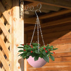 8 Pack 8 Inch Plastic Self Watering Hanging Planters, Colorful Hanging Basket - Image 7