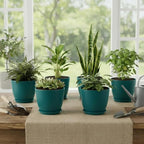 Plant Pots 8 Inch Set of 6, Flower Pots - Image 7