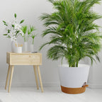 12 inch Large Self Watering Pots - Image 7