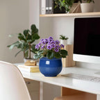 6 Inch Self Watering Pots, Ceramic African Violet Planter - Image 3